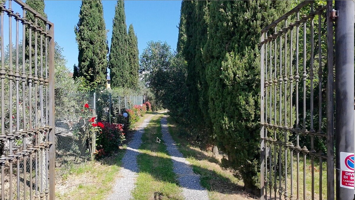 Podere Pagliaio 1 &mdash; Il cancello e il viale di cipressi