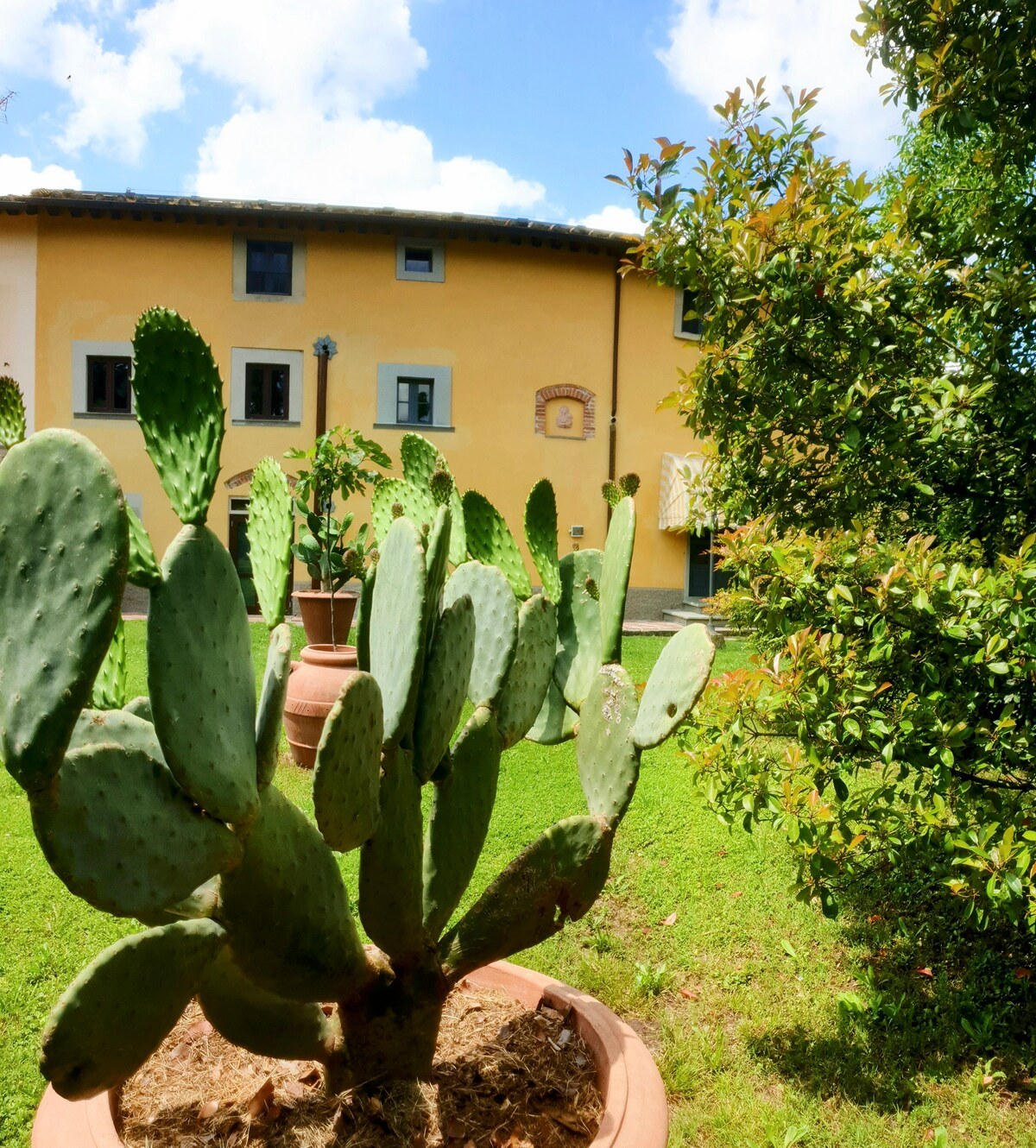 Podere Pagliaio 1 &mdash; La dimora vista dal giardino