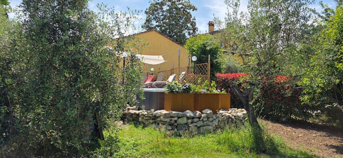 Podere Pagliaio 1 &mdash; Il giardino con le siepi e gli ulivi
