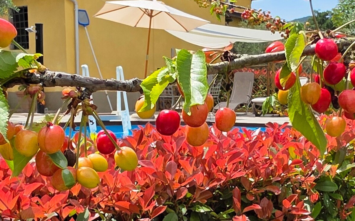 Podere Pagliaio 1 &mdash; La villa e la piscina
