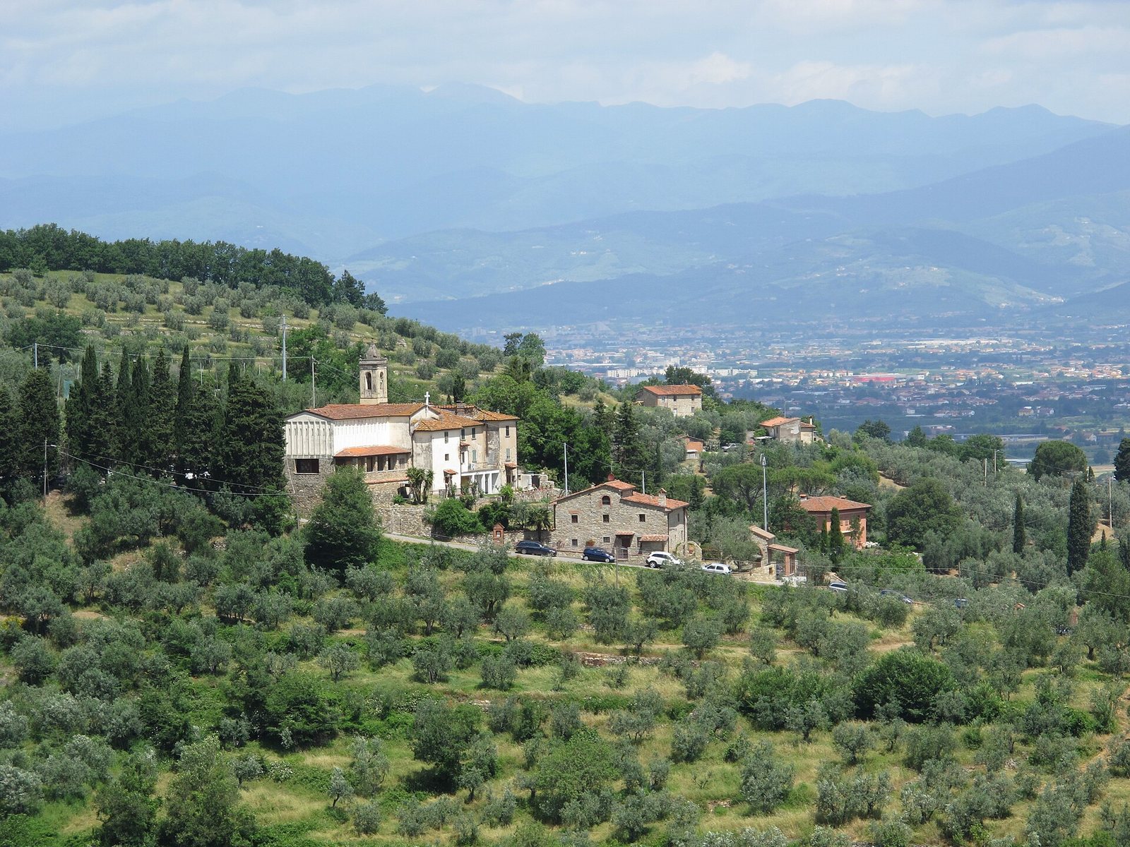 Le colline del Montalbano fra ulivi e case coloniche