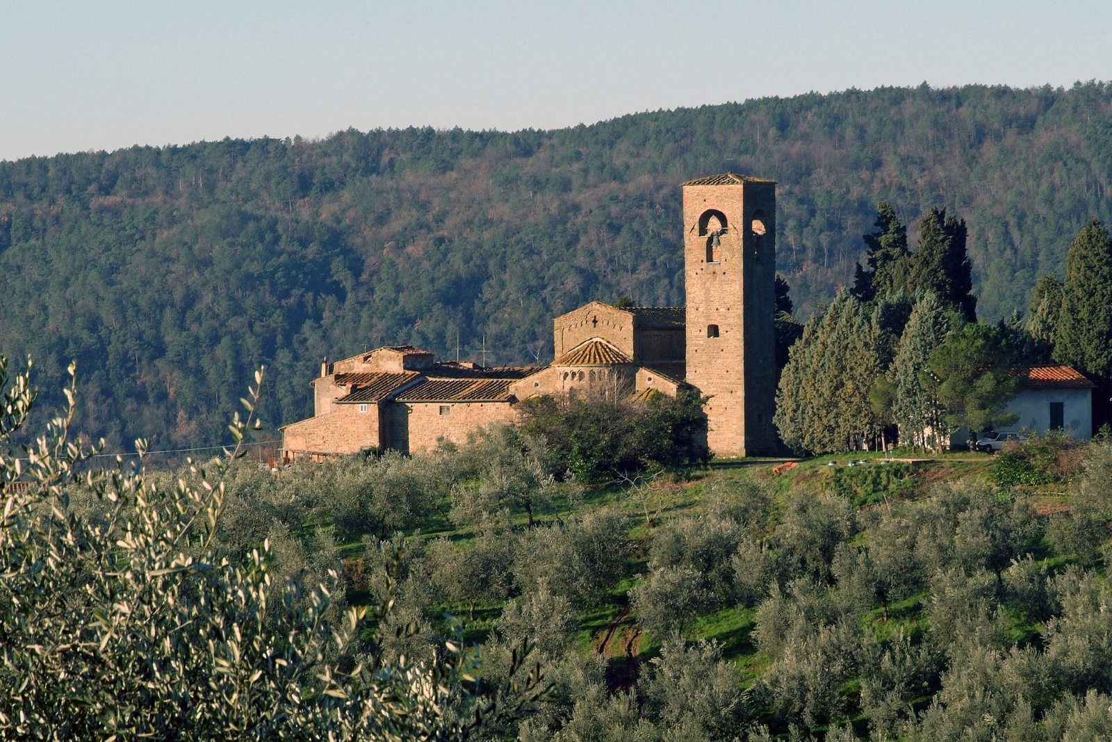 I vigneti della zona di Carmignano, sul Montalbano